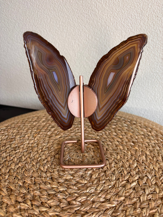 Agaat vlinder (AGV4)