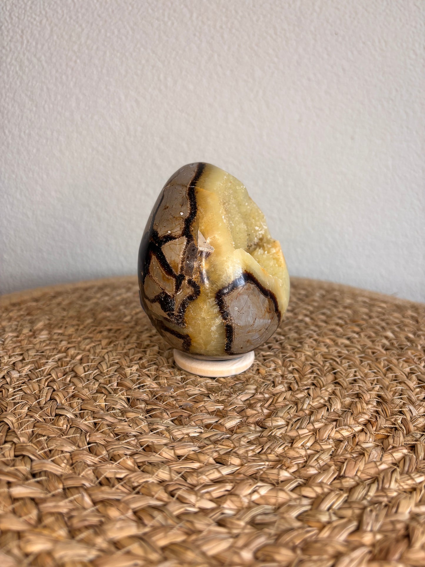 Septarie ei (draken ei)