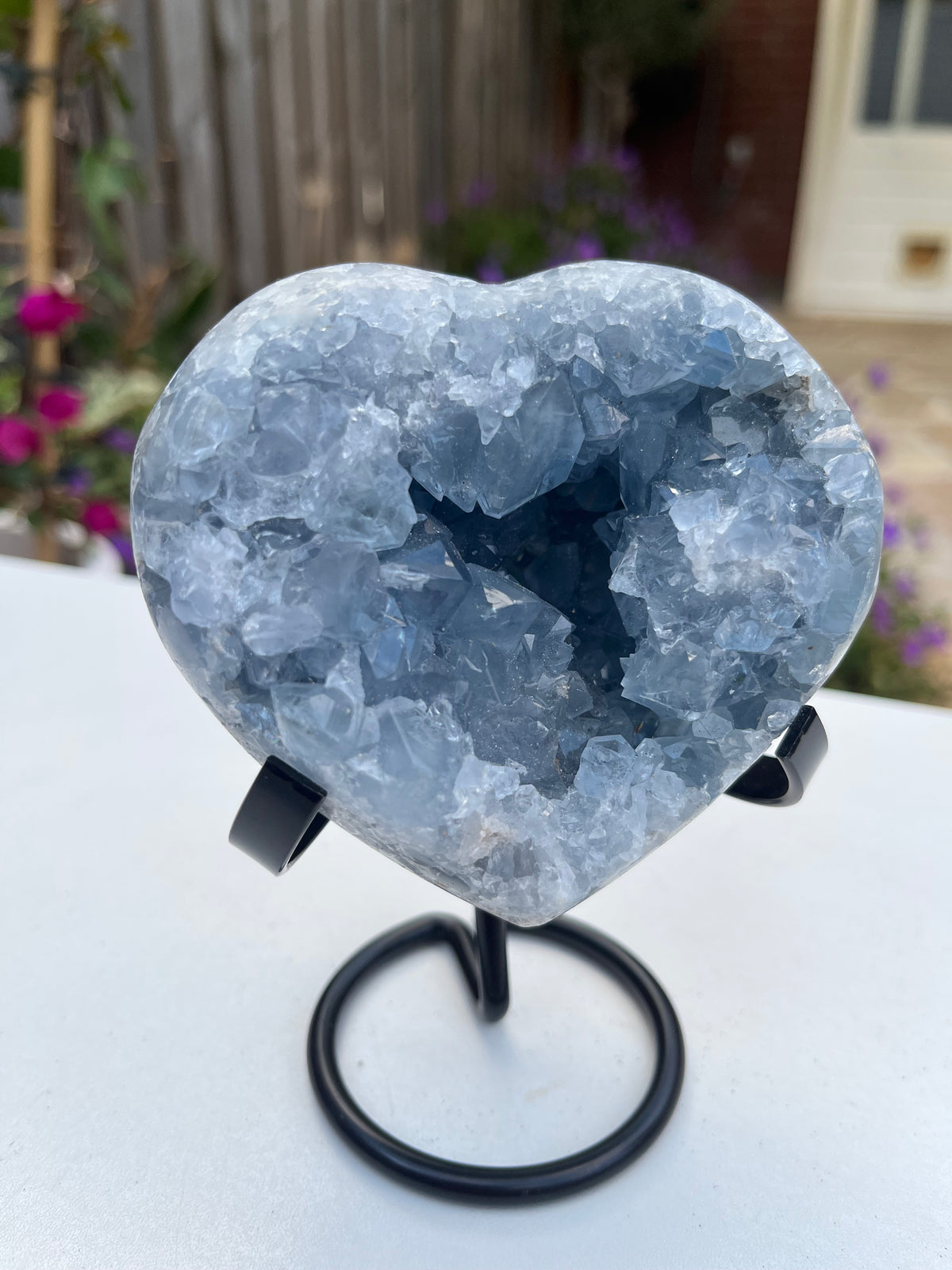 Celestienhart (celh2)