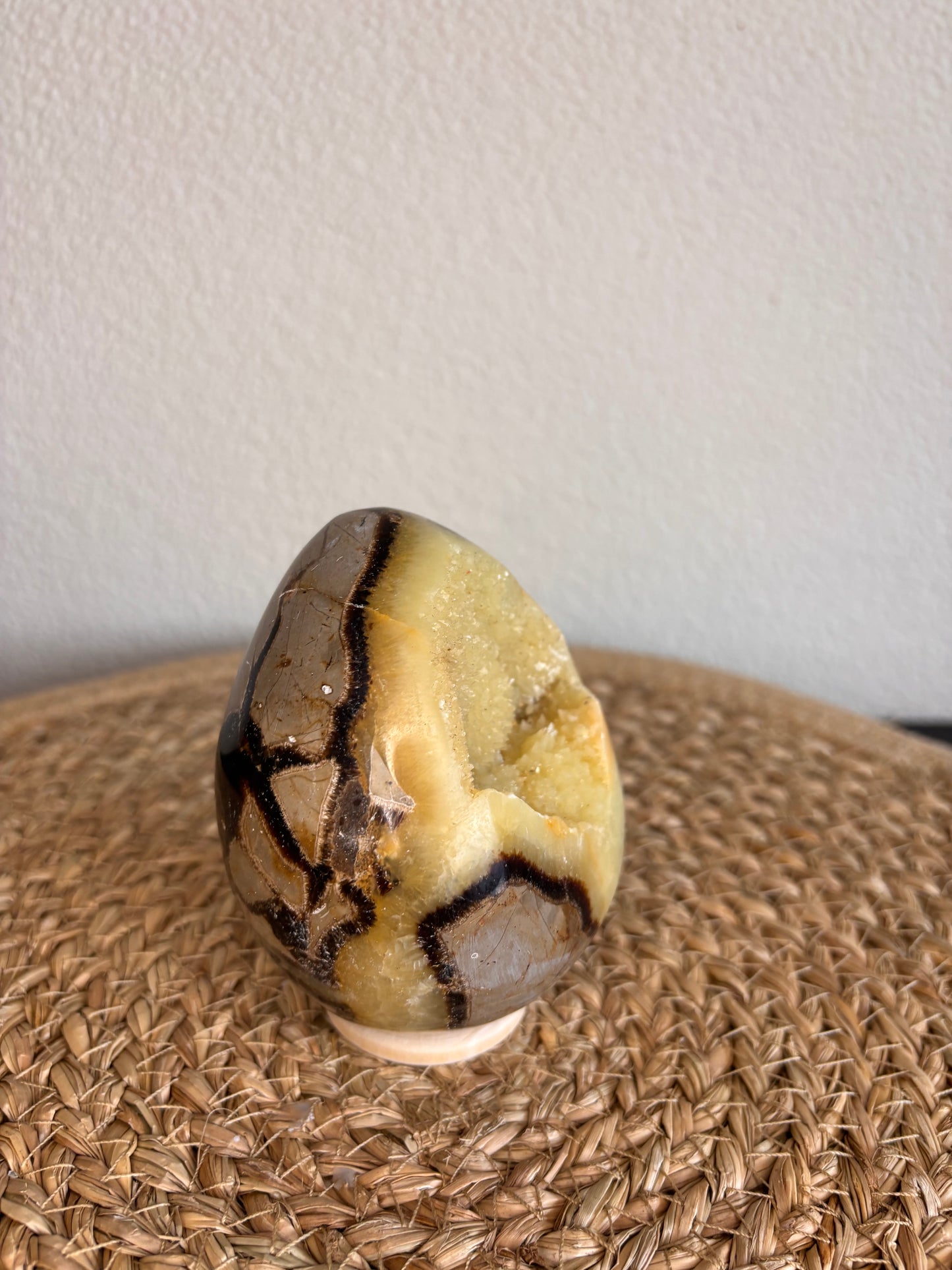 Septarie ei (draken ei)